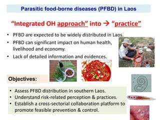 Importance of parasitic foodborne diseases in rural areas of southern Laos: A long-term case study using an integrated approach