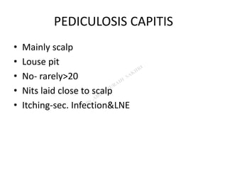 PEDICULOSIS CAPITIS
• Mainly scalp
• Louse pit
• No- rarely>20
• Nits laid close to scalp
• Itching-sec. Infection&LNE
 
