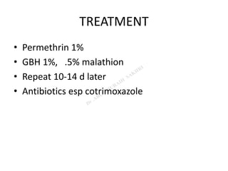 TREATMENT
• Permethrin 1%
• GBH 1%, .5% malathion
• Repeat 10-14 d later
• Antibiotics esp cotrimoxazole
 