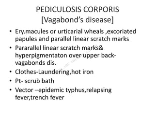 PEDICULOSIS CORPORIS
[Vagabond’s disease]
• Ery.macules or urticarial wheals ,excoriated
papules and parallel linear scratch marks
• Pararallel linear scratch marks&
hyperpigmentaton over upper back-
vagabonds dis.
• Clothes-Laundering,hot iron
• Pt- scrub bath
• Vector –epidemic typhus,relapsing
fever,trench fever
 