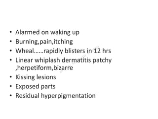 • Alarmed on waking up
• Burning,pain,itching
• Wheal……rapidly blisters in 12 hrs
• Linear whiplash dermatitis patchy
,herpetiform,bizarre
• Kissing lesions
• Exposed parts
• Residual hyperpigmentation
 