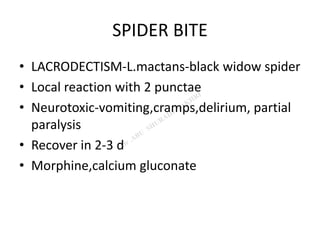 SPIDER BITE
• LACRODECTISM-L.mactans-black widow spider
• Local reaction with 2 punctae
• Neurotoxic-vomiting,cramps,delirium, partial
paralysis
• Recover in 2-3 d
• Morphine,calcium gluconate
 
