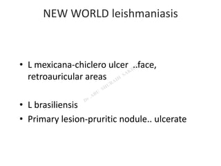 NEW WORLD leishmaniasis
• L mexicana-chiclero ulcer ..face,
retroauricular areas
• L brasiliensis
• Primary lesion-pruritic nodule.. ulcerate
 