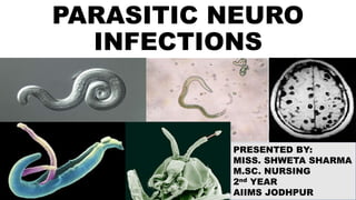 PARASITIC NEURO
INFECTIONS
PRESENTED BY:
MISS. SHWETA SHARMA
M.SC. NURSING
2nd YEAR
AIIMS JODHPUR
 