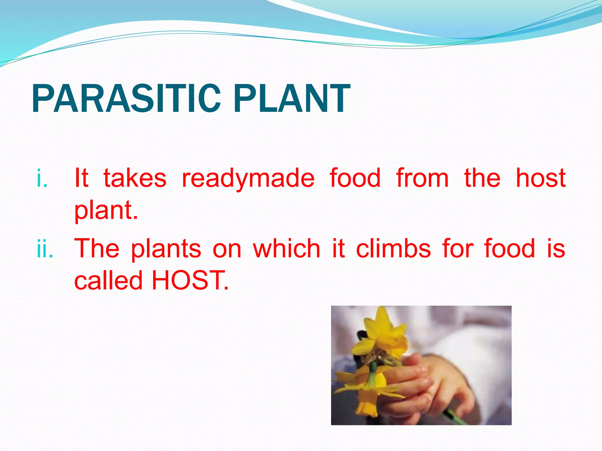 Parasitic nutrition.pptx oo.pptxom | PPTX