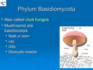 parasitic Protozoa unicellular parasites.ppt