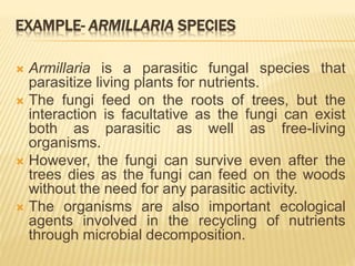 EXAMPLE- ARMILLARIA SPECIES
 Armillaria is a parasitic fungal species that
parasitize living plants for nutrients.
 The fungi feed on the roots of trees, but the
interaction is facultative as the fungi can exist
both as parasitic as well as free-living
organisms.
 However, the fungi can survive even after the
trees dies as the fungi can feed on the woods
without the need for any parasitic activity.
 The organisms are also important ecological
agents involved in the recycling of nutrients
through microbial decomposition.
 