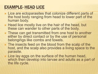 EXAMPLE- HEAD LICE
 Lice are ectoparasites that colonize different parts of
the host body ranging from head to lower part of the
human body.
 Head lice mostly live on the hair of the head, but
these can wander to other parts of the body.
 These can get transmitted from one host to another
either by direct contact or by the use of personal
belongings like combs and towels.
 The insects feed on the blood from the scalp of the
host, and the scalp also provides a living space to the
parasite.
 Lice lay eggs on the surface of the human head,
which then develop into larvae and adults as a part of
the life cycle.
 