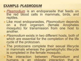 EXAMPLE- PLASMODIUM
 Plasmodium is an endoparasite that feeds on
the red blood cells in mammals, birds, and
reptiles.
 Like most endoparasites, Plasmodium depends
on a third organism (female Anopheles
mosquito) for transmission from one host to
another.
 Plasmodium exists in two different hosts, both of
which are essential for the completion of the life
cycle of the protozoan.
 The protozoans complete their sexual lifecycle
in mammals whereas the gametophytic lifecycle
is completed in the female mosquito.
 The interaction between Plasmodium and
 
