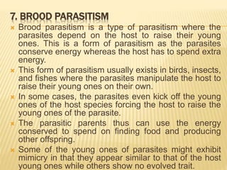 7. BROOD PARASITISM
 Brood parasitism is a type of parasitism where the
parasites depend on the host to raise their young
ones. This is a form of parasitism as the parasites
conserve energy whereas the host has to spend extra
energy.
 This form of parasitism usually exists in birds, insects,
and fishes where the parasites manipulate the host to
raise their young ones on their own.
 In some cases, the parasites even kick off the young
ones of the host species forcing the host to raise the
young ones of the parasite.
 The parasitic parents thus can use the energy
conserved to spend on finding food and producing
other offspring.
 Some of the young ones of parasites might exhibit
mimicry in that they appear similar to that of the host
young ones while others show no evolved trait.
 