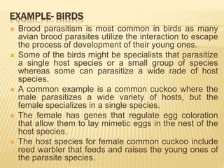 EXAMPLE- BIRDS
 Brood parasitism is most common in birds as many
avian brood parasites utilize the interaction to escape
the process of development of their young ones.
 Some of the birds might be specialists that parasitize
a single host species or a small group of species
whereas some can parasitize a wide rade of host
species.
 A common example is a common cuckoo where the
male parasitizes a wide variety of hosts, but the
female specializes in a single species.
 The female has genes that regulate egg coloration
that allow them to lay mimetic eggs in the nest of the
host species.
 The host species for female common cuckoo include
reed warbler that feeds and raises the young ones of
the parasite species.
 