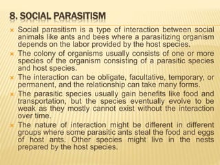 8. SOCIAL PARASITISM
 Social parasitism is a type of interaction between social
animals like ants and bees where a parasitizing organism
depends on the labor provided by the host species.
 The colony of organisms usually consists of one or more
species of the organism consisting of a parasitic species
and host species.
 The interaction can be obligate, facultative, temporary, or
permanent, and the relationship can take many forms.
 The parasitic species usually gain benefits like food and
transportation, but the species eventually evolve to be
weak as they mostly cannot exist without the interaction
over time.
 The nature of interaction might be different in different
groups where some parasitic ants steal the food and eggs
of host ants. Other species might live in the nests
prepared by the host species.
 