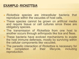 EXAMPLE- RICKETTSIA
 Rickettsia species are intracellular bacteria that
reproduce within the vacuoles of host cells.
 These species cannot be grown on artificial media
and require tissue or cell cultures since these are
obligatory species.
 The transmission of Rickettsia from one host to
another occurs through arthropods like lice and fleas.
 These bacteria have evolved mechanisms to evade
the host immune defenses, mostly by surviving within
the cellular components like vacuoles.
 The parasitic interaction of Rickettsia is necessary for
the completion of their lifecycle, including
reproduction.
 