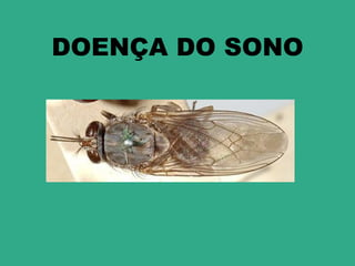 DOENÇA DO SONO
 