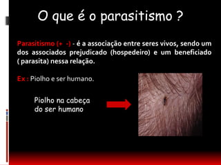 O que é o parasitismo ?
Parasitismo (+ -) - é a associação entre seres vivos, sendo um
dos associados prejudicado (hospedeiro) e um beneficiado
( parasita) nessa relação.

Ex : Piolho e ser humano.

     Piolho na cabeça
     do ser humano
 