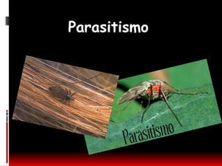 Parasitismo
 