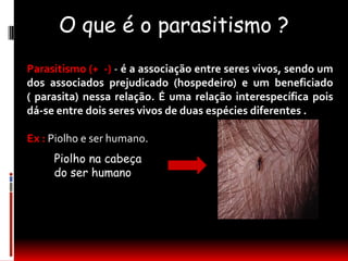 O que é o parasitismo ?
Parasitismo (+ -) - é a associação entre seres vivos, sendo um
dos associados prejudicado (hospedeiro) e um beneficiado
( parasita) nessa relação. É uma relação interespecífica pois
dá-se entre dois seres vivos de duas espécies diferentes .

Ex : Piolho e ser humano.
     Piolho na cabeça
     do ser humano
 