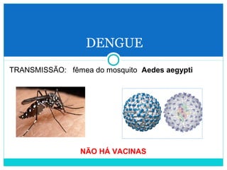 DENGUE 
TRANSMISSÃO: fêmea do mosquito Aedes aegypti 
NÃO HÁ VACINAS 
 
