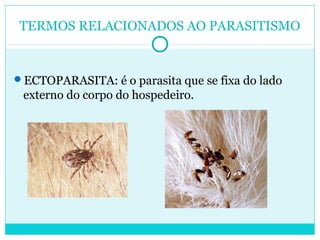 TERMOS RELACIONADOS AO PARASITISMO 
ECTOPARASITA: é o parasita que se fixa do lado 
externo do corpo do hospedeiro. 
 