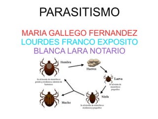 PARASITISMO
MARIA GALLEGO FERNANDEZ
LOURDES FRANCO EXPOSITO
BLANCA LARA NOTARIO
 
