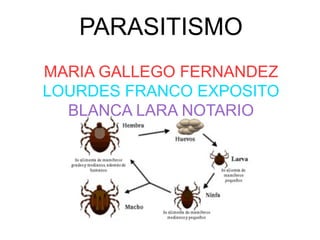 PARASITISMO
MARIA GALLEGO FERNANDEZ
LOURDES FRANCO EXPOSITO
BLANCA LARA NOTARIO
 