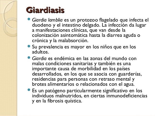 La preparación para los análisis sobre la lamblia