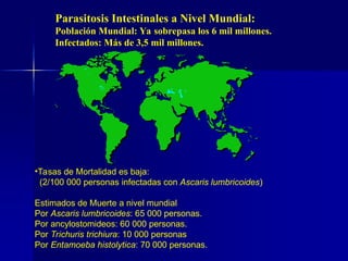 •Tasas de Mortalidad es baja:
(2/100 000 personas infectadas con Ascaris lumbricoides)
Estimados de Muerte a nivel mundial
Por Ascaris lumbricoides: 65 000 personas.
Por ancylostomideos: 60 000 personas.
Por Trichuris trichiura: 10 000 personas
Por Entamoeba histolytica: 70 000 personas.
Parasitosis Intestinales a Nivel Mundial:
Población Mundial: Ya sobrepasa los 6 mil millones.
Infectados: Más de 3,5 mil millones.
 