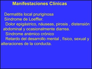 Manifestaciones Clínicas
Dermatitis local pruriginosa
Síndrome de Loeffler.
Dolor epigástrico, náuseas, pirosis , distensión
abdominal y ocasionalmente diarrea.
Síndrome anémico crónico
Retardo del desarrollo mental , físico, sexual y
alteraciones de la conducta.
 
