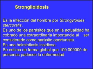 Es la infección del hombre por Strongyloides
stercoralis.
Es uno de los parásitos que en la actualidad ha
cobrado una extraordinaria importancia al ser
considerado como parásito oportunista.
Es una helmintiasis insidiosa.
Se estima de forma global que 100 000000 de
personas padecen la enfermedad.
Strongiloidosis
 
