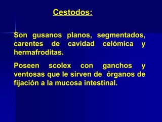 Son gusanos planos, segmentados,
carentes de cavidad celómica y
hermafroditas.
Poseen scolex con ganchos y
ventosas que le sirven de órganos de
fijación a la mucosa intestinal.
Cestodos:
 