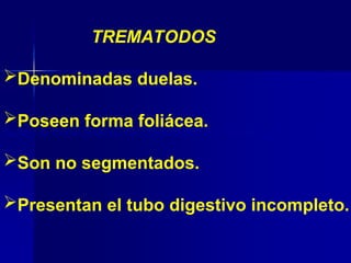 TREMATODOS
(duelas, de forma foliácea, no segmentados con tubo digestivo incompleto)
Denominadas duelas.
Poseen forma foliácea.
Son no segmentados.
Presentan el tubo digestivo incompleto.
 
