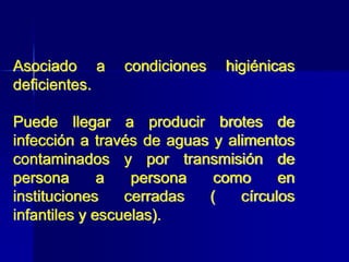 Asociado a condiciones higiénicas
deficientes.
Puede llegar a producir brotes de
infección a través de aguas y alimentos
contaminados y por transmisión de
persona a persona como en
instituciones cerradas ( círculos
infantiles y escuelas).
 