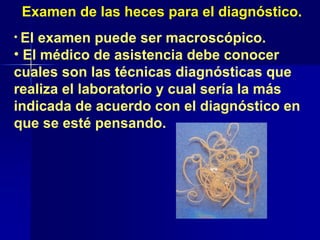 • El examen puede ser macroscópico.
• El médico de asistencia debe conocer
cuales son las técnicas diagnósticas que
realiza el laboratorio y cual sería la más
indicada de acuerdo con el diagnóstico en
que se esté pensando.
Examen de las heces para el diagnóstico.
 