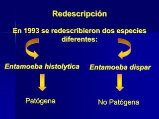 Redescripción
Entamoeba dispar
En 1993 se redescribieron dos especies
diferentes:
Entamoeba histolytica
Patógena No Patógena
 