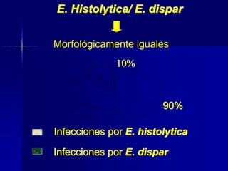 Morfológicamente iguales
E. Histolytica/ E. dispar
10%
90%
Infecciones por E. dispar
Infecciones por E. histolytica
 