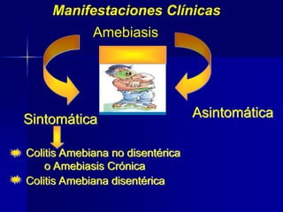 Manifestaciones Clínicas
Amebiasis
Colitis Amebiana no disentérica
o Amebiasis Crónica
Colitis Amebiana disentérica
Sintomática Asintomática
 