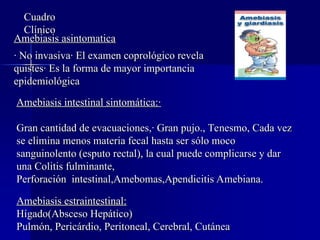 Cuadro
Cuadro
Clínico
Clínico
Amebiasis asintomatica
Amebiasis asintomatica
· No invasiva· El examen coprológico revela
· No invasiva· El examen coprológico revela
quistes· Es la forma de mayor importancia
quistes· Es la forma de mayor importancia
epidemiológica
epidemiológica
Amebiasis intestinal sintomática:·
Amebiasis intestinal sintomática:·
Gran cantidad de evacuaciones,· Gran pujo., Tenesmo, Cada vez
Gran cantidad de evacuaciones,· Gran pujo., Tenesmo, Cada vez
se elimina menos materia fecal hasta ser sólo moco
se elimina menos materia fecal hasta ser sólo moco
sanguinolento (esputo rectal), la cual puede complicarse y dar
sanguinolento (esputo rectal), la cual puede complicarse y dar
una Colitis fulminante,
una Colitis fulminante,
Perforación intestinal,Amebomas,Apendicitis Amebiana.
Perforación intestinal,Amebomas,Apendicitis Amebiana.
Amebiasis estraintestinal:
Amebiasis estraintestinal:
Hígado(Absceso Hepático)
Hígado(Absceso Hepático)
Pulmón, Pericárdio, Peritoneal, Cerebral, Cutánea
Pulmón, Pericárdio, Peritoneal, Cerebral, Cutánea
 
