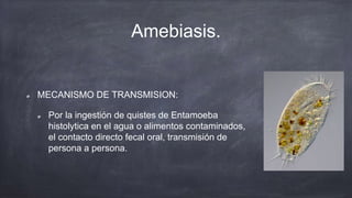 Amebiasis.
MECANISMO DE TRANSMISION:
Por la ingestión de quistes de Entamoeba
histolytica en el agua o alimentos contaminados,
el contacto directo fecal oral, transmisión de
persona a persona.
 
