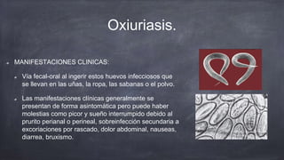 Oxiuriasis.
MANIFESTACIONES CLINICAS:
Vía fecal-oral al ingerir estos huevos infecciosos que
se llevan en las uñas, la ropa, las sabanas o el polvo.
Las manifestaciones clínicas generalmente se
presentan de forma asintomática pero puede haber
molestias como picor y sueño interrumpido debido al
prurito perianal o perineal, sobreinfección secundaria a
excoriaciones por rascado, dolor abdominal, nauseas,
diarrea, bruxismo.
 