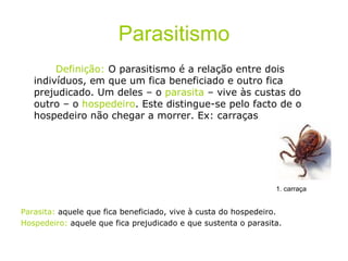 Parasitismo Definição:  O parasitismo é a relação entre dois indivíduos, em que um fica beneficiado e outro fica prejudicado. Um deles – o  parasita  – vive às custas do outro – o  hospedeiro . Este distingue-se pelo facto de o hospedeiro não chegar a morrer. Ex: carraças Parasita:  aquele que fica beneficiado, vive à custa do hospedeiro. Hospedeiro:  aquele que fica prejudicado e que sustenta o parasita. 1. carraça 