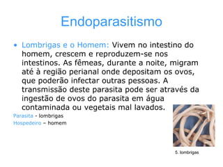 Endoparasitismo Lombrigas e o Homem:  Vivem no intestino do homem, crescem e reproduzem-se nos intestinos. As fêmeas, durante a noite, migram até à região perianal onde depositam os ovos, que poderão infectar outras pessoas. A transmissão deste parasita pode ser através da ingestão de ovos do parasita em água contaminada ou vegetais mal lavados. Parasita  - lombrigas Hospedeiro  – homem 5. lombrigas 