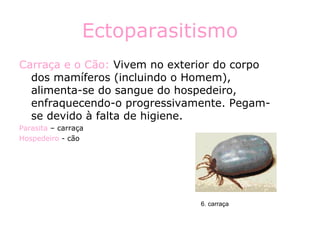 Ectoparasitismo Carraça e o Cão:  Vivem no exterior do corpo dos mamíferos (incluindo o Homem), alimenta-se do sangue do hospedeiro, enfraquecendo-o progressivamente. Pegam-se devido à falta de higiene. Parasita  – carraça Hospedeiro  - cão 6. carraça 
