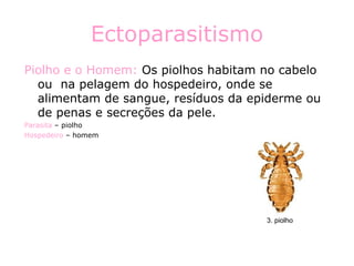 Ectoparasitismo Piolho e o Homem:  Os piolhos habitam no cabelo ou  na pelagem do hospedeiro, onde se alimentam de sangue, resíduos da epiderme ou de penas e secreções da pele. Parasita  – piolho Hospedeiro  – homem 3. piolho 