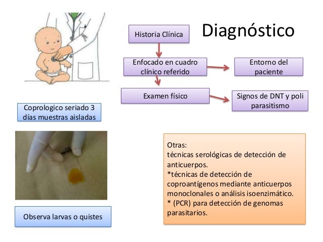 La medicina barata y eficaz contra las lombrices