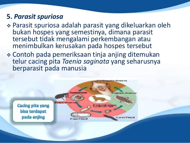 Parasit kelompok 4 kelas A
