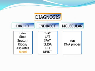 DIAGNOSIS
DIRECT INDIRECT MOLECULAR
Urine
Stool
Sputum
Biopsy
Aspirates
Blood
PCR
DNA probes
IHAT
LAT
IFAT
ELISA
CFT
DEIDT
 