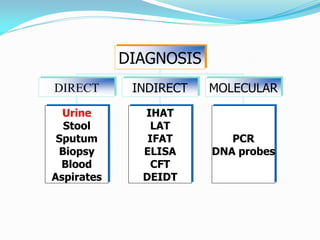 DIAGNOSIS
DIRECT INDIRECT MOLECULAR
Urine
Stool
Sputum
Biopsy
Blood
Aspirates
PCR
DNA probes
IHAT
LAT
IFAT
ELISA
CFT
DEIDT
 