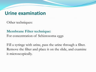 Urine examination
Other techniques:
Membrane Filter technique:
For concentration of Schistosoma eggs
Fill a syringe with urine, pass the urine through a filter.
Remove the filter and place it on the slide, and examine
it microscopically.
 