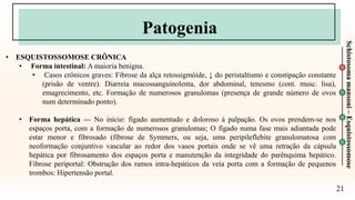 21
Schistosoma
mansoni
–
Esquistossomose
Patogenia
• ESQUISTOSSOMOSE CRÔNICA
• Forma intestinal: A maioria benigna.
• Casos crônicos graves: Fibrose da alça retossigmóide, ↓ do peristaltismo e constipação constante
(prisão de ventre). Diarreia mucossanguinolenta, dor abdominal, tenesmo (cont. musc. lisa),
emagrecimento, etc. Formação de numerosos granulomas (presença de grande número de ovos
num determinado ponto).
• Forma hepática --- No início: fígado aumentado e doloroso à palpação. Os ovos prendem-se nos
espaços porta, com a formação de numerosos granulomas; O fígado numa fase mais adiantada pode
estar menor e fibrosado (fibrose de Symmers, ou seja, uma peripileflebite granulomatosa com
neoformação conjuntivo vascular ao redor dos vasos portais onde se vê uma retração da cápsula
hepática por fibrosamento dos espaços porta e manutenção da integridade do parênquima hepático.
Fibrose periportal: Obstrução dos ramos intra-hepáticos da veia porta com a formação de pequenos
trombos: Hipertensão portal.
 