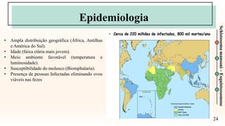 24
Schistosoma
mansoni
–
Esquistossomose
Epidemiologia
• Ampla distribuição geográfica (África, Antilhas
e América do Sul).
• Idade (faixa etária mais jovem).
• Meio ambiente favorável (temperatura e
luminosidade).
• Susceptibilidade do molusco (Biomphalaria).
• Presença de pessoas Infectadas eliminando ovos
viáveis nas fezes
 